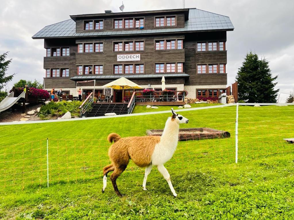 Oddech Hotel